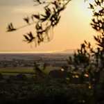 Podere N°8 In Maremma *