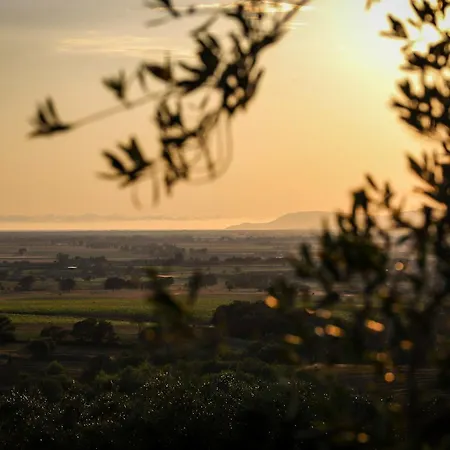 Podere N°8 In Maremma *